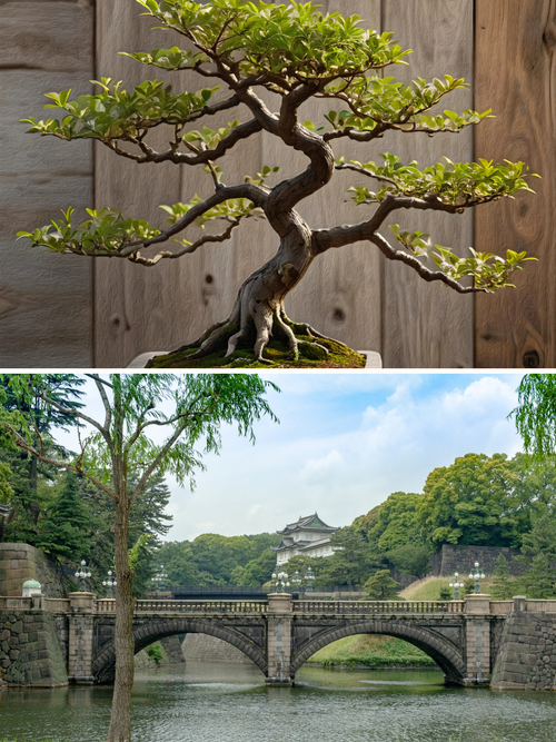 Una composizione verticale di due fotografie di Tokyo. L'immagine superiore mostra uno skyline panoramico della città al tramonto, con la Tokyo Tower rossa e bianca illuminata tra i grattacieli sotto un cielo colorato. L'immagine inferiore mostra una vista a livello della strada di un vicolo notturno affollato, con lanterne rosse, insegne di izakaya e persone che camminano sotto una struttura sopraelevata e archi, con moderni condomini sullo sfondo. Le due immagini contrastano l'iconicità metropolitana con 