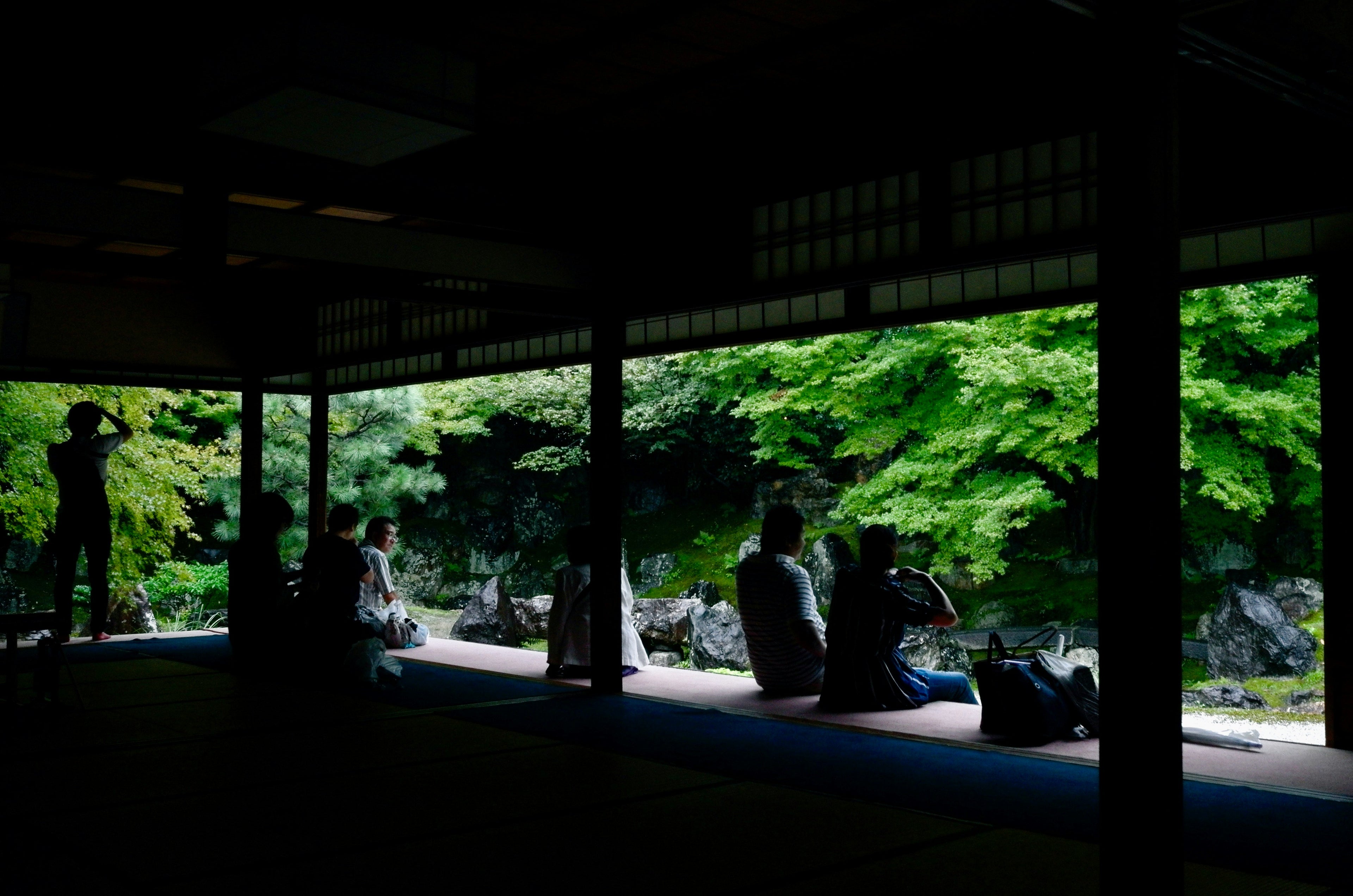 Viaggiatori seduti all'interno di un tempio tradizionale osservano un giardino zen rigoglioso; Hidden Japan seleziona luoghi di pace e contemplazione per itinerari su misura e tour d'autore.